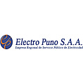 ElectroPuno